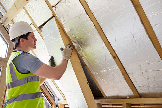 Best Insulation Replacement Services  in Princess Anne, MD